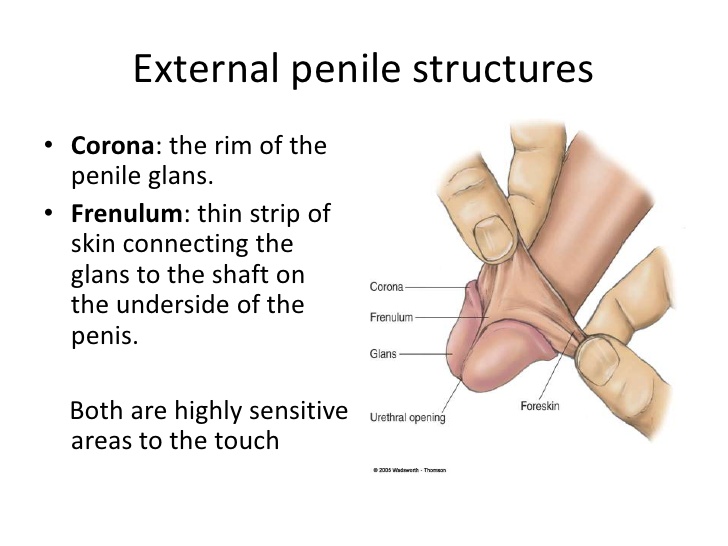 How to Heal Foreskin Cuts